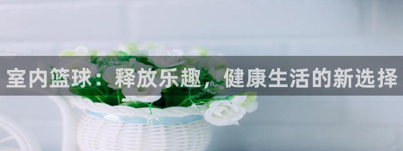 J9官网下载招商电话是多少号码：室内篮球：释放乐趣，