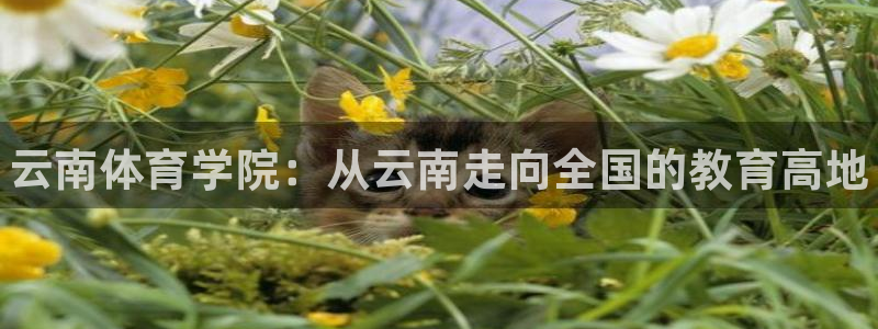 J9官网下载平台注册要钱吗：云南体育学院：从云南走向