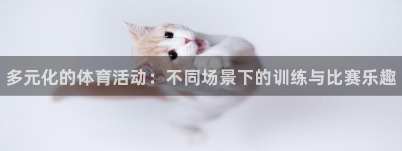 J9官方正版app娱乐40996：多元化的体育活动：