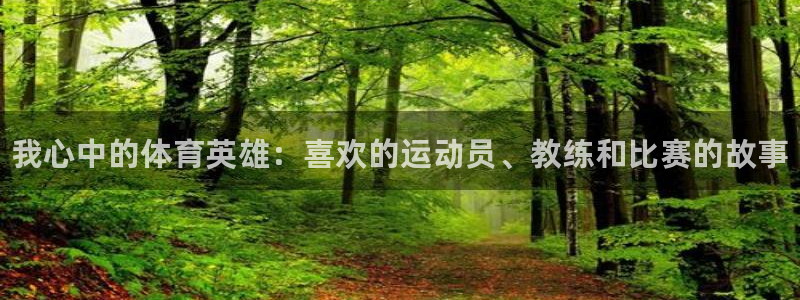 J9官网下载招商电话是多少号码：我心中的体育英雄：喜