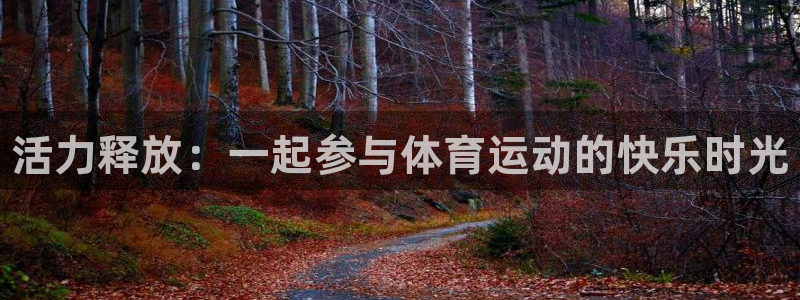 J9官方正版app新能源：活力释放：一起参与体育运动
