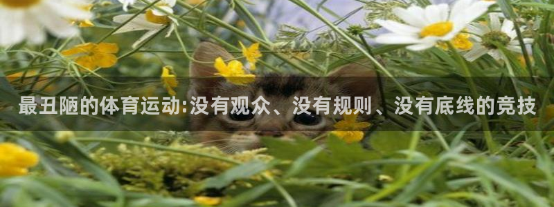 J9官网下载：最丑陋的体育运动:没有观众、没有规则、