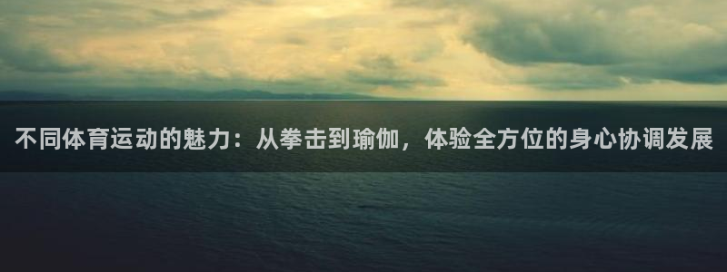 注册J9官方正版app：不同体育运动的魅力：从拳击到瑜伽，体