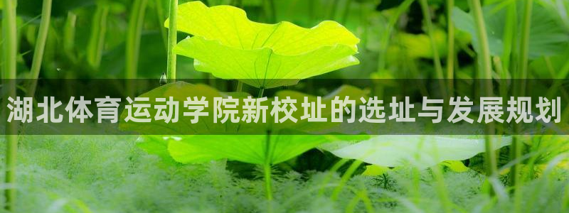 J9官方正版app集团官网首页：湖北体育运动学院新校址的选址