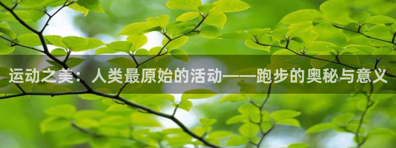 J9官方正版app集团官网首页网址：运动之美：人类最