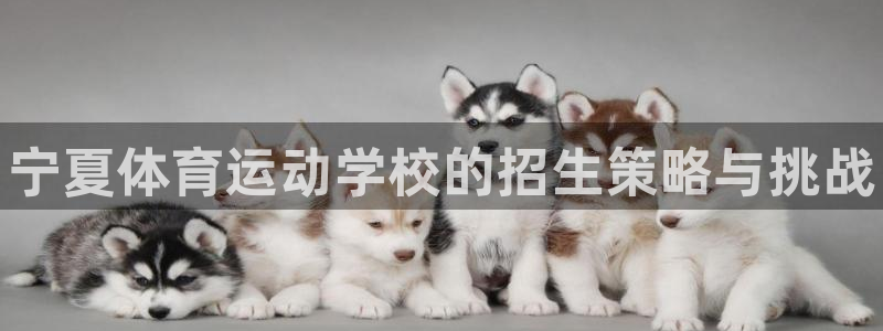 J9官网下载招商电话地址：宁夏体育运动学校的招生策略与挑战