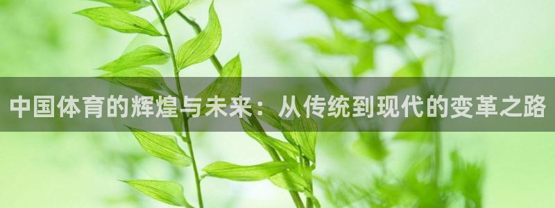 J9官网下载招商电话号码查询是多少：中国体育的辉煌与未来：从