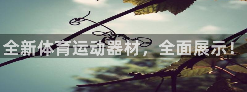 J9官网下载是干嘛的公司：全新体育运动器材，全面展示