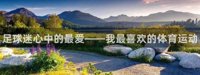 J9官网下载招商电话是多少：足球迷心中的最爱——我最