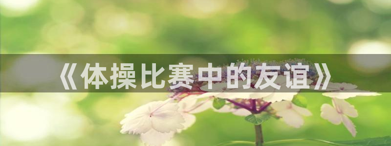 J9官网下载平台注册要钱吗安全吗：《体操比赛中的友谊