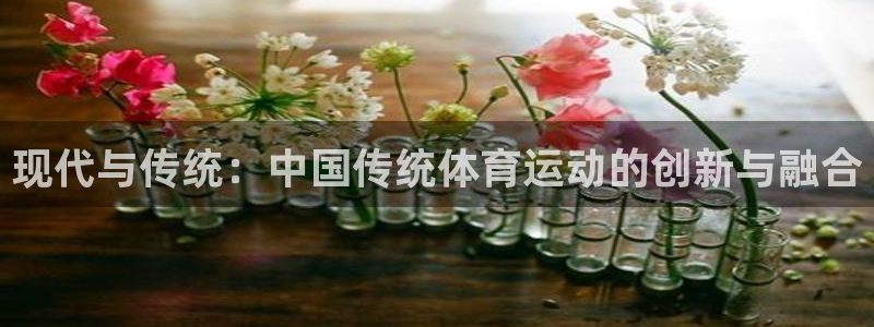 J9官网下载平台：现代与传统：中国传统体育运动的创新