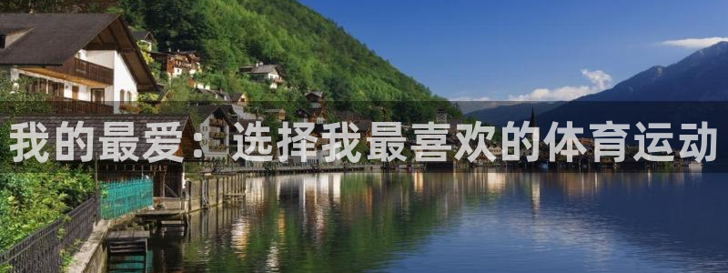 J9官网下载是干嘛的公司：我的最爱：选择我最喜欢的体