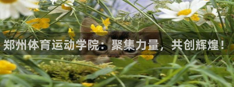 J9官网下载注册：郑州体育运动学院：聚集力量，共创辉