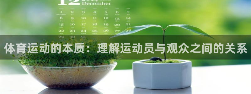 J9官方正版app娱乐代理怎么样：体育运动的本质：理