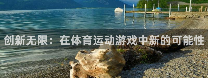 J9官方正版app集团logo：创新无限：在体育运动游戏中新