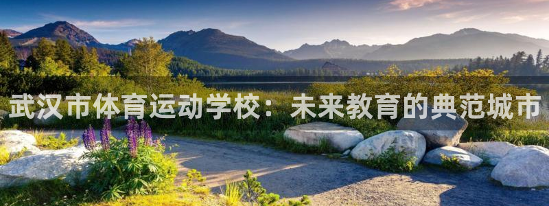 J9官网下载官方客服电话：武汉市体育运动学校：未来教