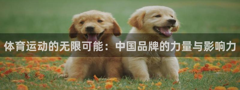 J9官网下载娱乐：体育运动的无限可能：中国品牌的力量