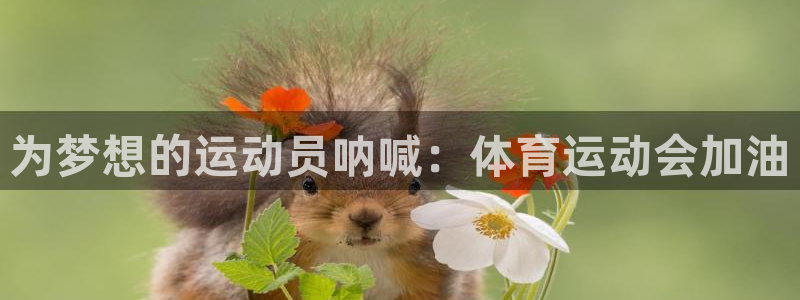 J9官方正版app开户：为梦想的运动员呐喊：体育运动