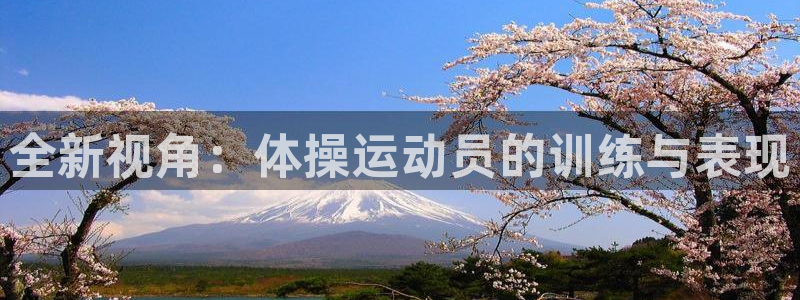 J9官网下载平台：全新视角：体操运动员的训练与表现