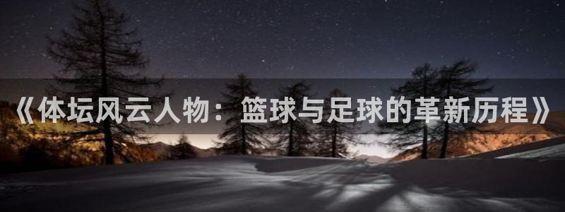 J9官方正版app集团简介：《体坛风云人物：篮球与足