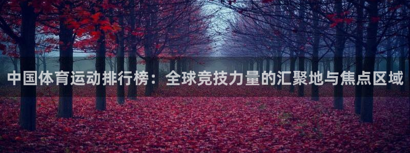 J9官方正版app娱乐下载：中国体育运动排行榜：全球竞技力量