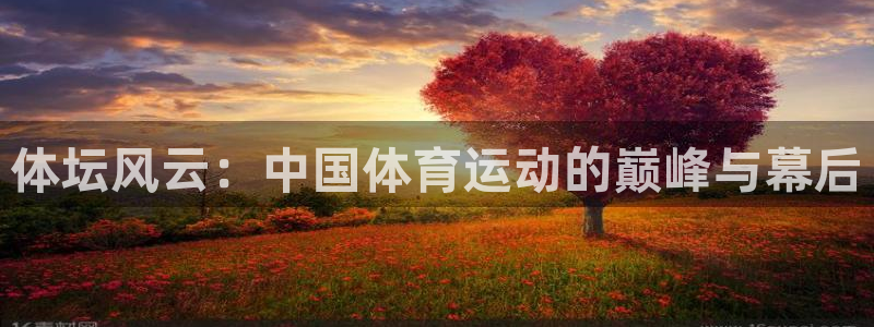 J9官方平台体育：体坛风云：中国体育运动的巅峰与幕后