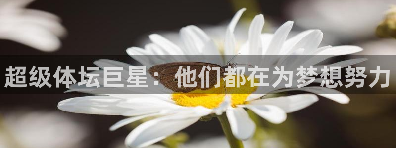 J9官网下载招商电话号码是多少啊：超级体坛巨星：他们都在为梦