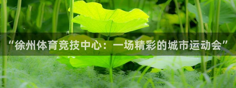J9官网下载招商电话号码是多少啊：“徐州体育竞技中心
