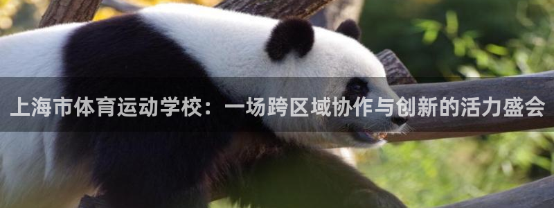 J9官方正版app神州：上海市体育运动学校：一场跨区域协作与