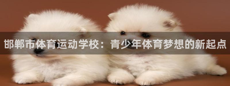 J9官网下载平台是正规平台吗安全吗：邯郸市体育运动学校：青少