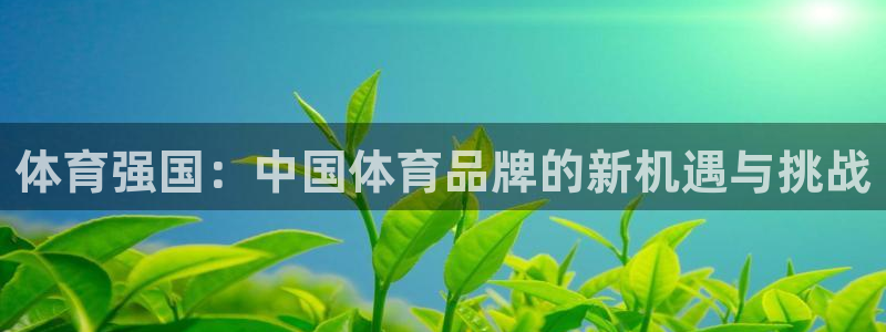 J9官方正版app集团官网首页：体育强国：中国体育品
