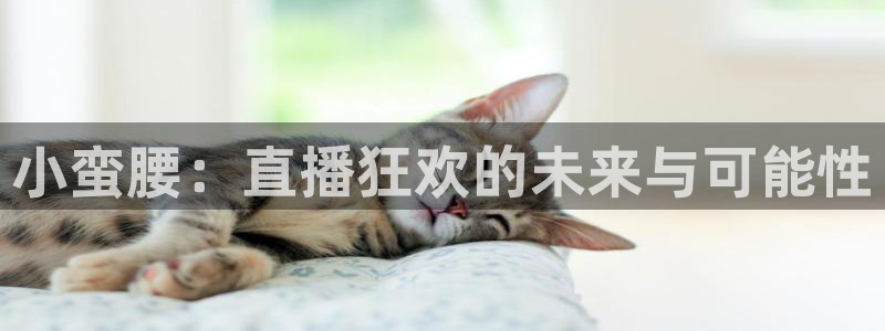 下载咪咕视频体育频道直播：小蛮腰：直播狂欢的未来与可能性