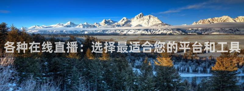 咪咕视频新版：各种在线直播：选择最适合您的平台和工具