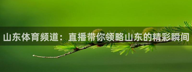 咪咕视频app下载：山东体育频道：直播带你领略山东的精彩瞬间