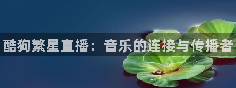 咪咕体育直播 免费：酷狗繁星直播：音乐的连接与传播者