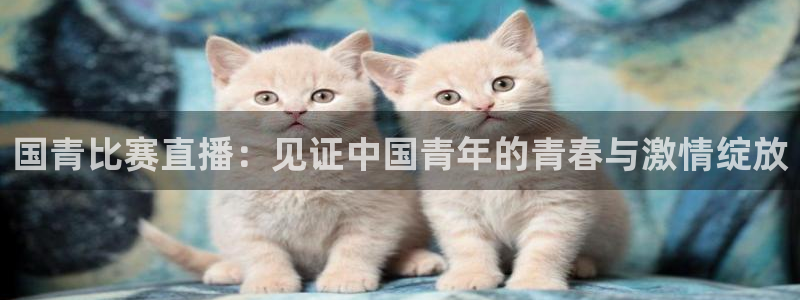 咪咕体育直播在线看：国青比赛直播：见证中国青年的青春与激情绽放