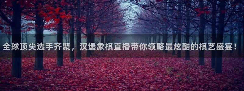 免费看咪咕直播：全球顶尖选手齐聚，汉堡象棋直播带你领略最炫酷的棋艺盛宴！
